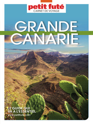 cover image of GRANDE CANARIE 2023 Carnet Petit Futé